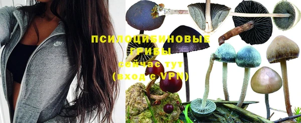 стафф Алексеевка