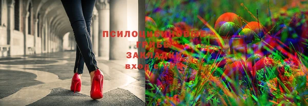 гашик Алзамай